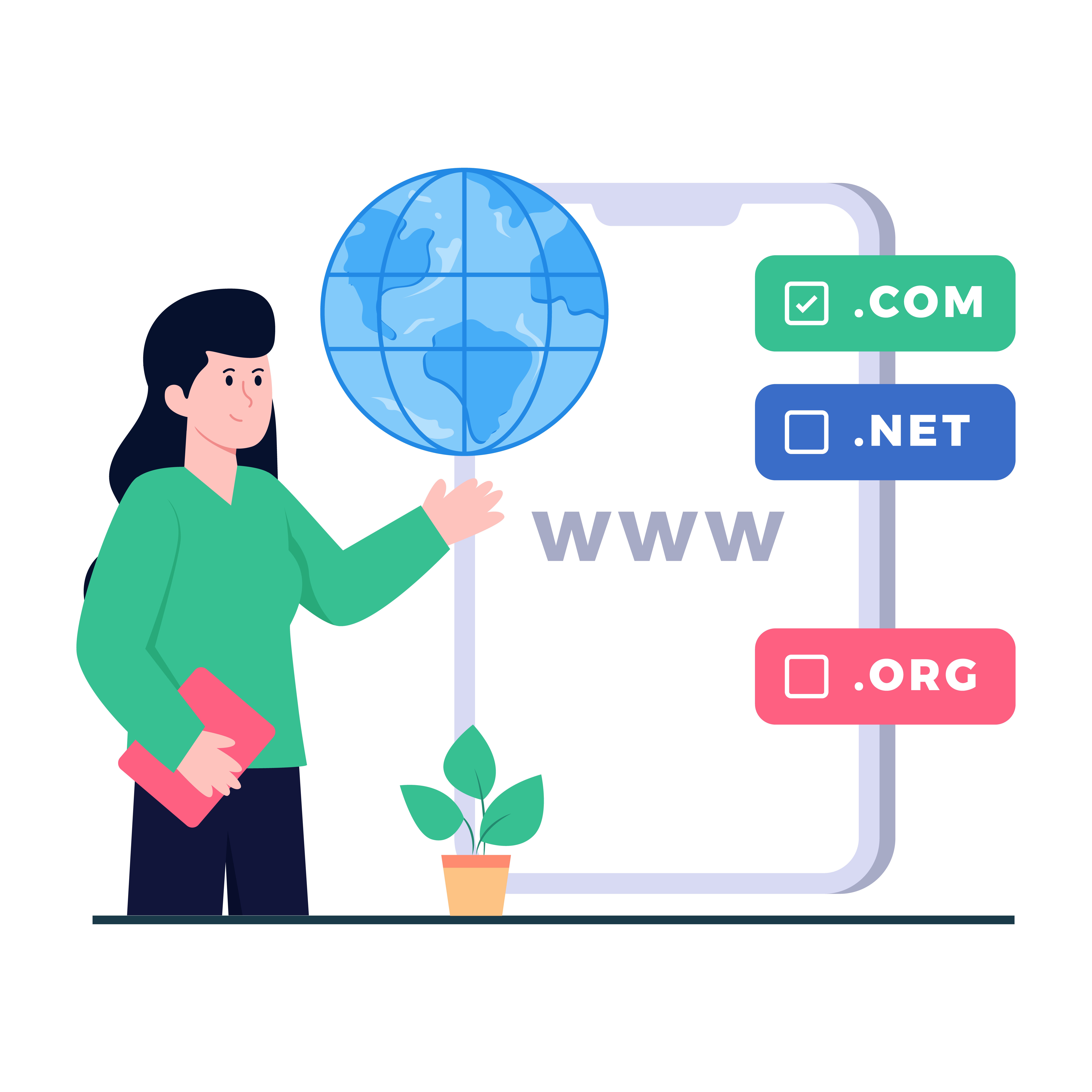 Deciphering the Worth The Influence of Domain Extensions on Domain Value