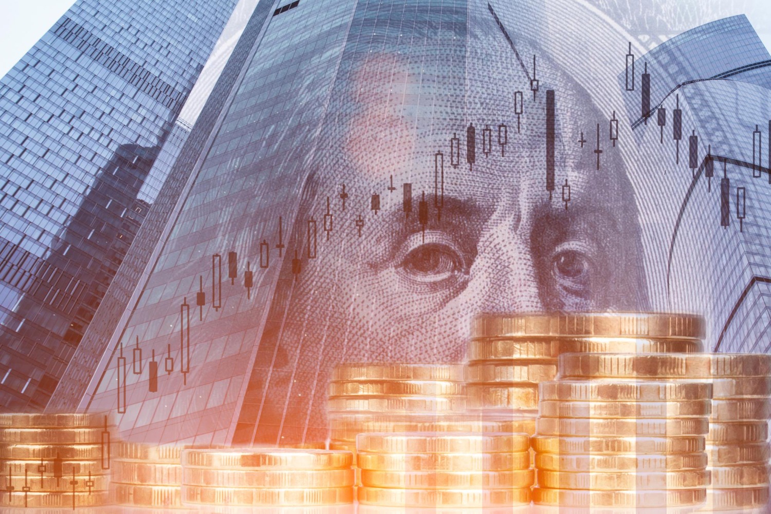 Startups Can Shine Like Unicorns